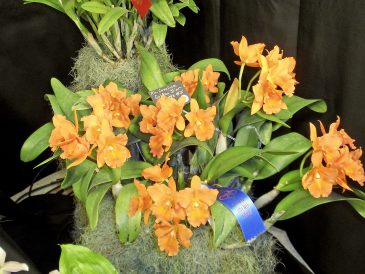 article image -